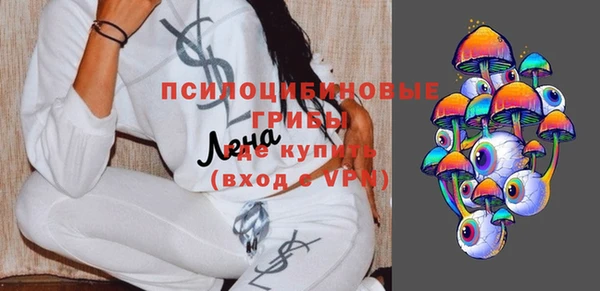 хмурый Алексеевка